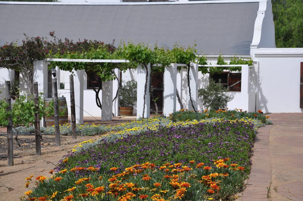 Dunstone Country House Wellington Værelse billede